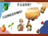 湘教版地理八年级上册 第4章第1节 农业课件
