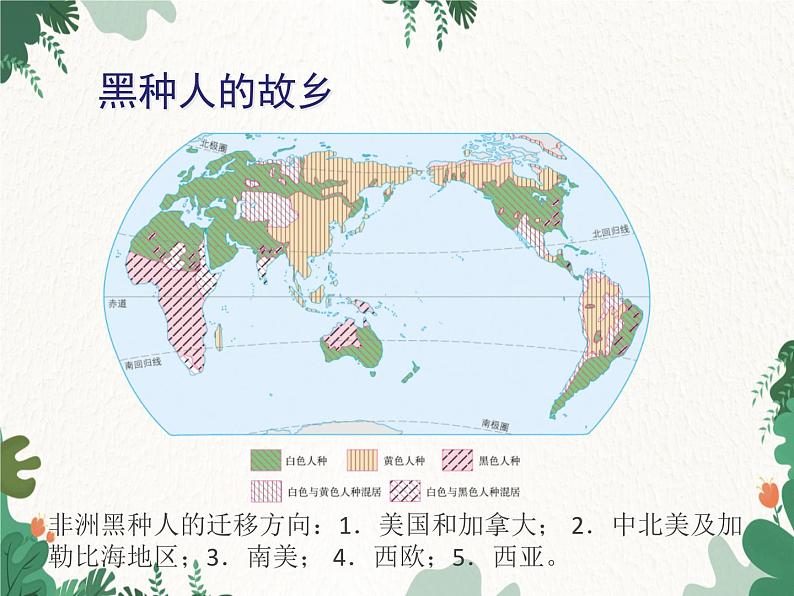 鲁教版（五四制）地理六年级下册 第八章第三节 撒哈拉以南非洲课件03