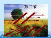 湘教版地理七年级下册 6.2 非洲课件4