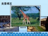 湘教版地理七年级下册 6.2 非洲课件9