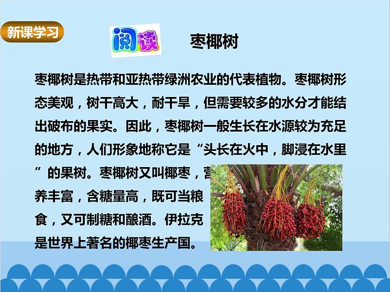 湘教版地理七年级下册 7.3 西亚课件208