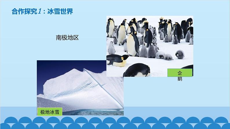 湘教版地理七年级下册 7.5 北极地区和南极地区课件3第5页