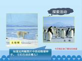 湘教版地理七年级下册 7.5 北极地区和南极地区课件7