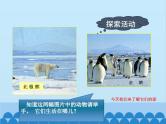 湘教版地理七年级下册 7.5 北极地区和南极地区课件7