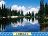 湘教版地理七年级下册 8.3 俄罗斯  课件2