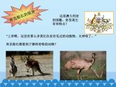 湘教版地理七年级下册 8.7澳大利亚  课件1