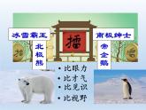 湘教版地理七年级下册 7.5 北极地区和南极地区课件4