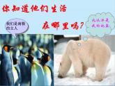 湘教版地理七年级下册 7.5 北极地区和南极地区课件8