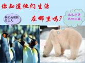 湘教版地理七年级下册 7.5 北极地区和南极地区课件8