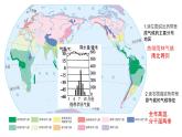 3.4世界气候类型课件2023-2024学年人教版地理七年级上册