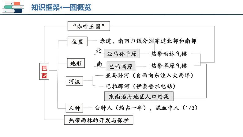 【2024会考】初中地理一轮复习 专题15 美国和巴西-课件06