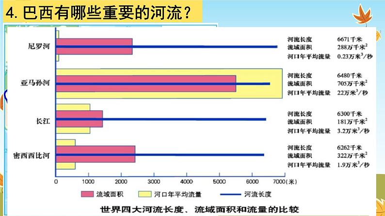 8.6+巴西++课件-2023-2024学年七年级地理下学期湘教版第8页