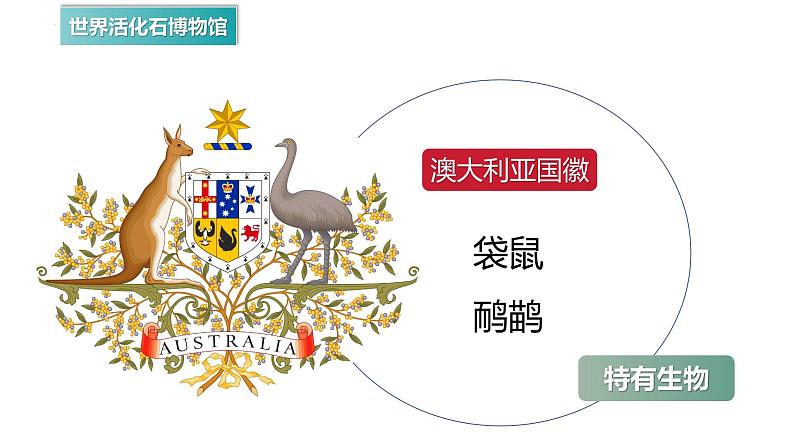 8.4澳大利亚+课件2023-2024学年人教版地理七年级下册第3页