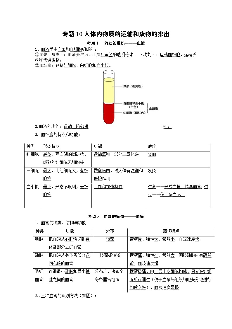 中考地理一轮复习知识点梳理专题10人体内物质的运输和废物的排出第1页