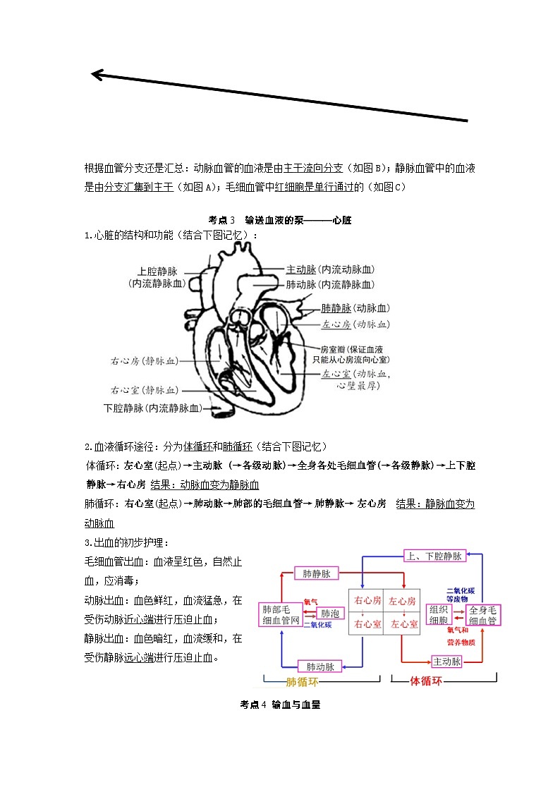 中考地理一轮复习知识点梳理专题10人体内物质的运输和废物的排出第2页