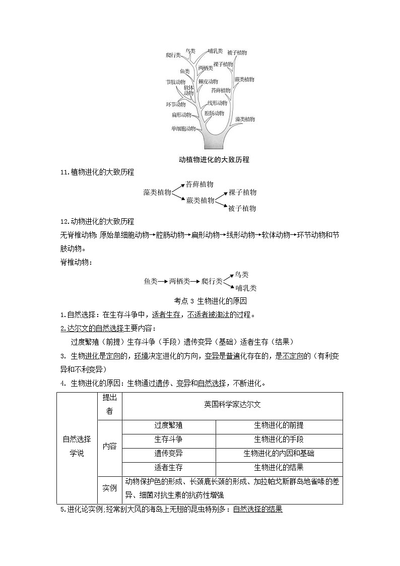 中考地理一轮复习知识点梳理专题18 生命的起源和生物的进化第2页
