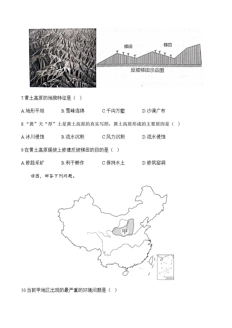 6.3世界最大的黄土堆积区—黄土高原——八年级下册地理人教版分层培优练03