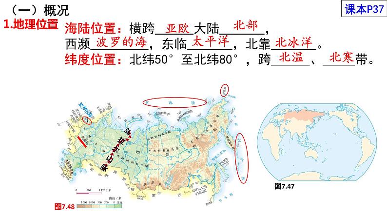 7.4 俄罗斯（课件）2023-2024学年人教版地理七年级下册02