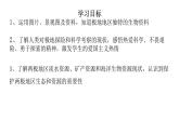 7.5  北极地区和南极地区——资源、科考 课件-2023-2024学年七年级地理下学期湘教版