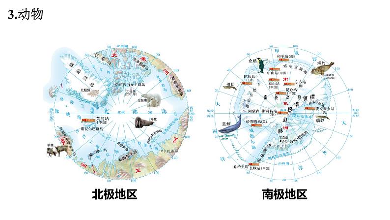 7.5  北极地区和南极地区——资源、科考 课件-2023-2024学年七年级地理下学期湘教版第7页