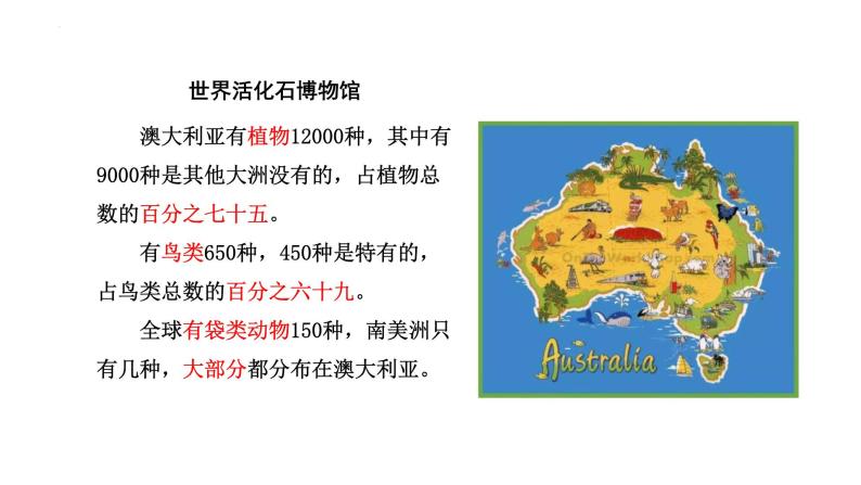 8.4 澳大利亚 课件-2023-2024学年七年级地理下学期人教版06