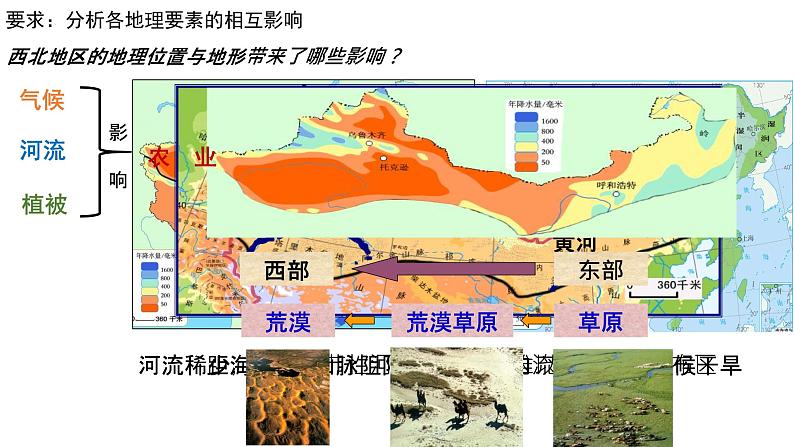 2024届八年级学业水平考试地理一轮复习课件：西北地区、青藏地区第4页