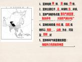2023-2024学年人教版初中地理七年级下册期末复习课件