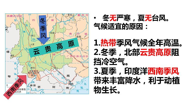 8.1 西双版纳——晶莹透亮的“绿宝石” 课件-2023-2024学年八年级地理下学期晋教版第4页