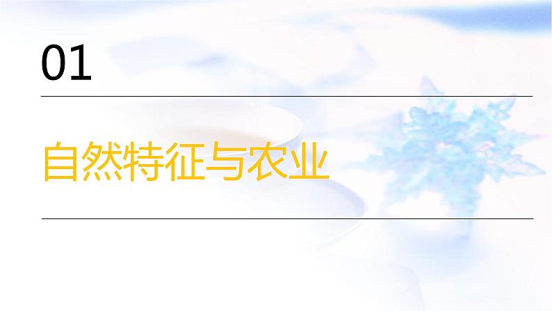 中考地理复习专题一0五北方地区课件第2页