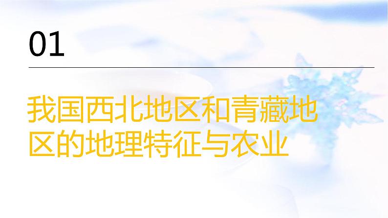 中考地理复习专题一0七西北地区青藏地区课件第2页