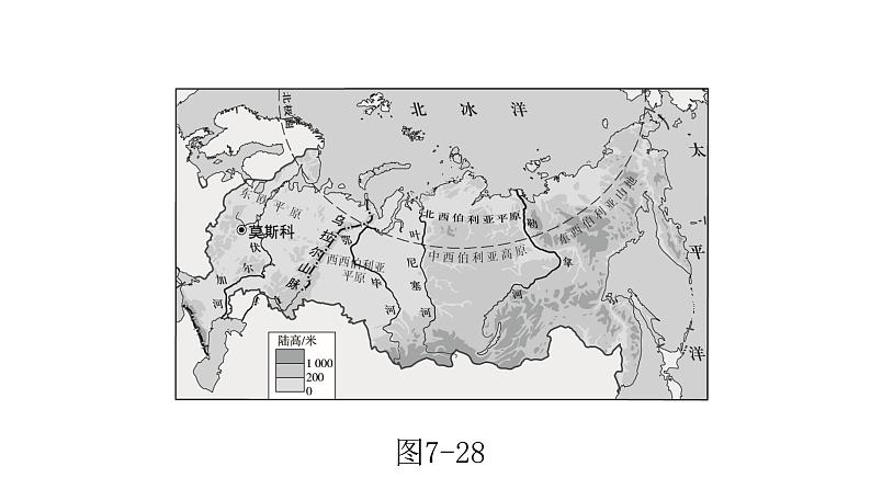 人教版七年级地理下册第七章第四节俄罗斯教学课件第5页