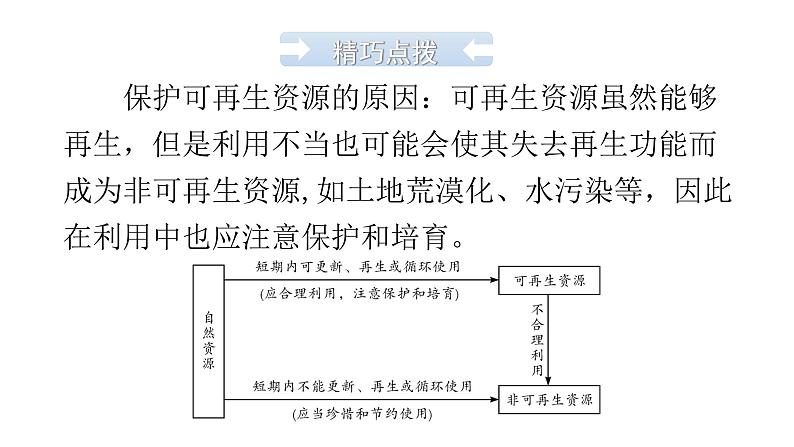 中考地理复习中国地理(上)专题三中国的自然资源教学课件06