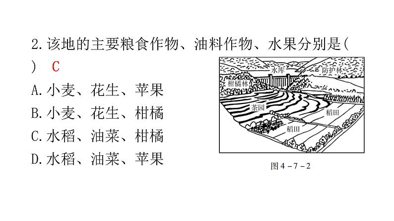 中考地理复习中国地理(下)专题七南方地区教学课件08