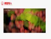 （中圖版）七年級下冊地理第7章第7節(jié)珠江三角洲課件PPT