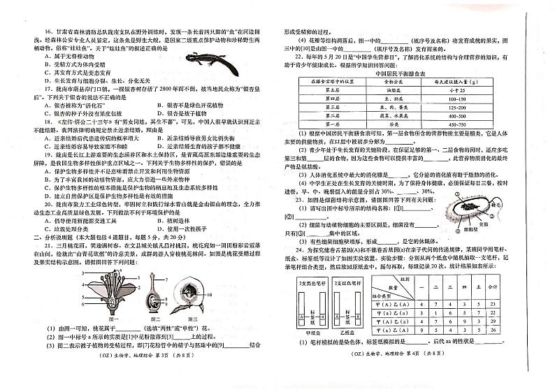 甘肃省陇南市康县2023-2024学年九年级下学期联考模拟生物、地理试卷第2页