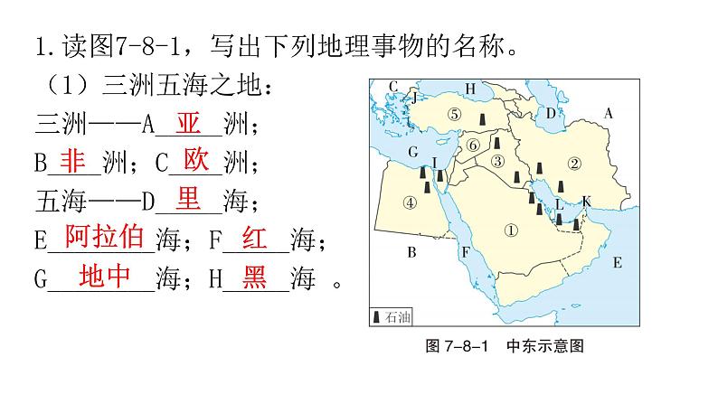 中考地理复习七年级下册第八章东半球其他的地区和国家课件第3页