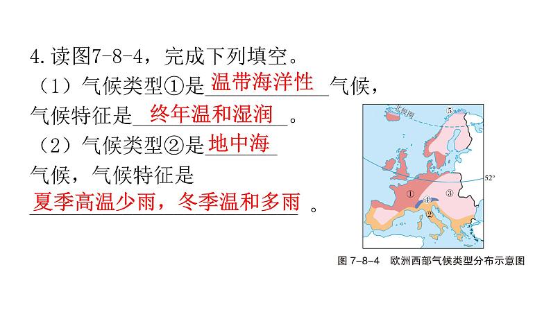 中考地理复习七年级下册第八章东半球其他的地区和国家课件第7页