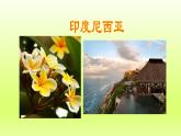 第7章我们邻近的地区和国家第二节东南亚第2课时山河相间与城市分布热带旅游胜地课件（人教版）