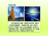 第7章我们邻近的地区和国家第四节俄罗斯第1课时横跨亚欧大陆北部课件（人教版）