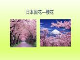 第7章我们邻近的地区和国家第一节日本第1课时多火山地震的岛国课件（人教版）