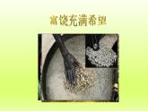 第8章东半球其他的地区和国家第三节撒哈拉以南非洲课件（人教版）