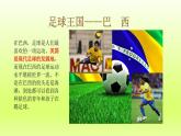第9章西半球的国家第二节巴西第1课时大量混血种人的社会发展中的工农业课件（人教版）