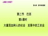 第9章西半球的国家第二节巴西第1课时大量混血种人的社会发展中的工农业课件（人教版）