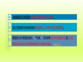 第9章西半球的国家第一节美国第1课时移民国家农业地区专业化课件（人教版）