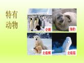 第10章极地地区课件（人教版）