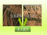 第六章北方地区第三节世界最大的黄土堆积区__黄土高原第2课时严重的水土流失水土保持课件（人教版）
