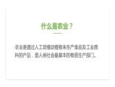 粤教版初中地理八年级上册第四章第一节-农业课件