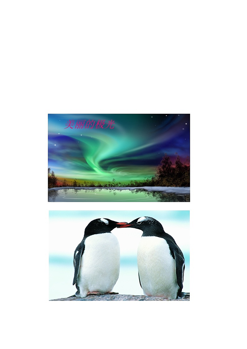 人教版七年级下册地理 第十章 极地地区教案02