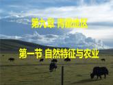 人教版 八年级下册地理 课件 9.1青藏地区的自然特征与农业
