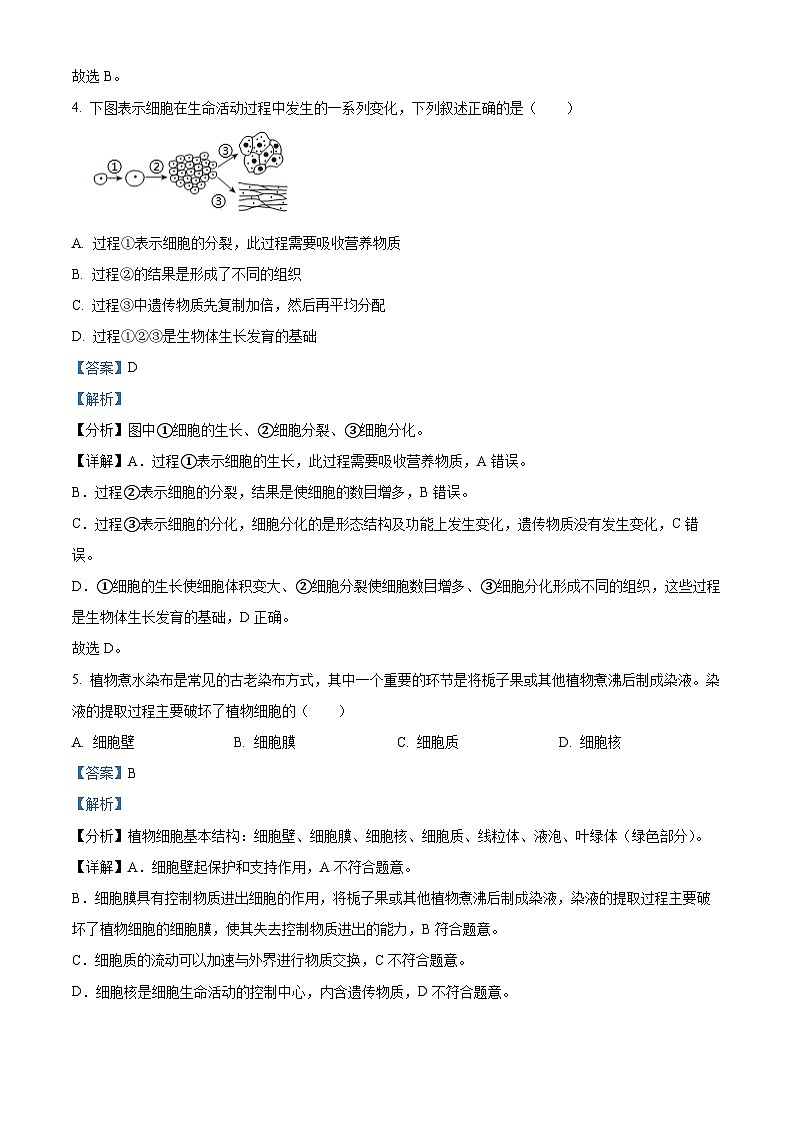 四川省德阳市中江县2023-2024学年八年级下学期期中考试地理·生物合卷试题-初中生物03